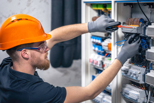 Best Electric Panel Repair  in Carthage, MO